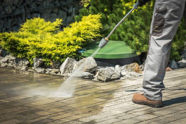 Best Fence Cleaning  in Meadowlakes, TX